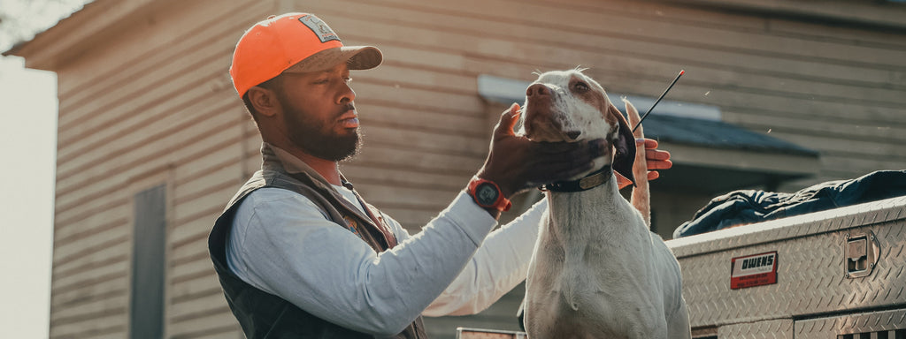 Trainer gently holds a dog's muzzle, demonstrating focus and control during a hands-on obedience session.