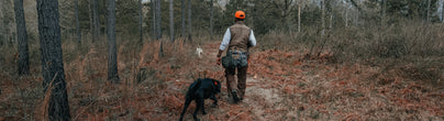 Hunter in orange cap walks through pine woods with two dogs, one black and one white, during a late season upland hunt.