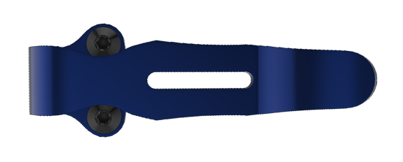 Blue metal CSTM clip with central slot and two hex screws, shown in side view.