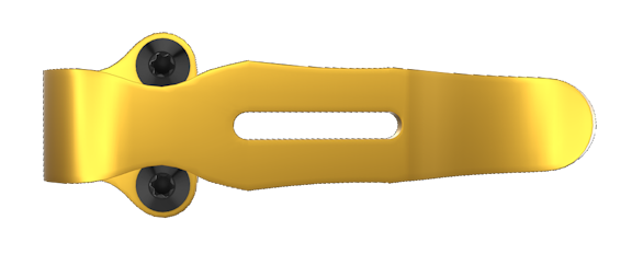 Gold CSTM clip with black hex screws and central slot, shown in side profile view.