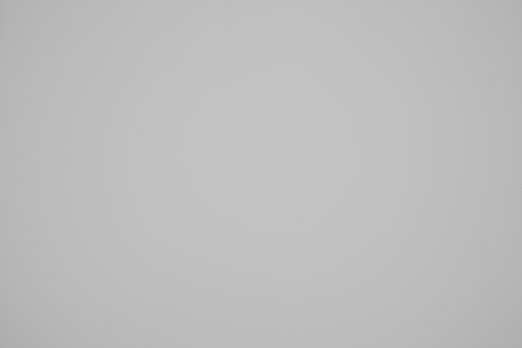 A uniform, featureless light gray rectangle with no visible objects, text, or patterns.